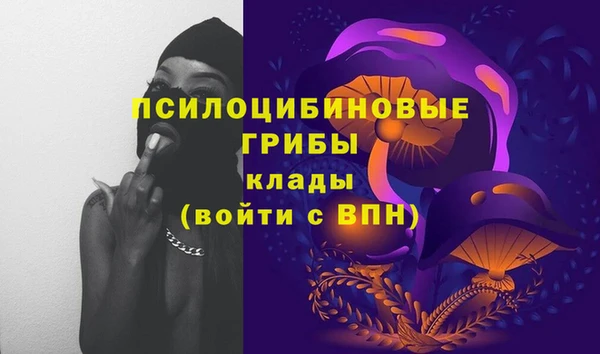 прущие грибы Аркадак