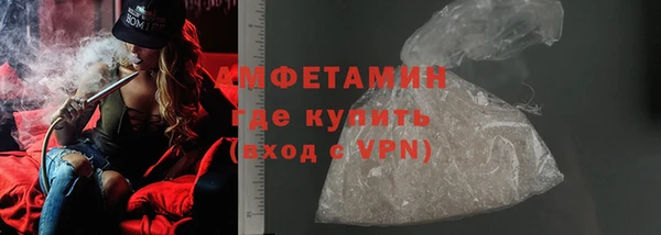 индика Слюдянка