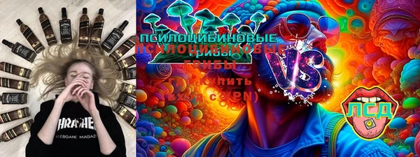 прущие грибы Аркадак