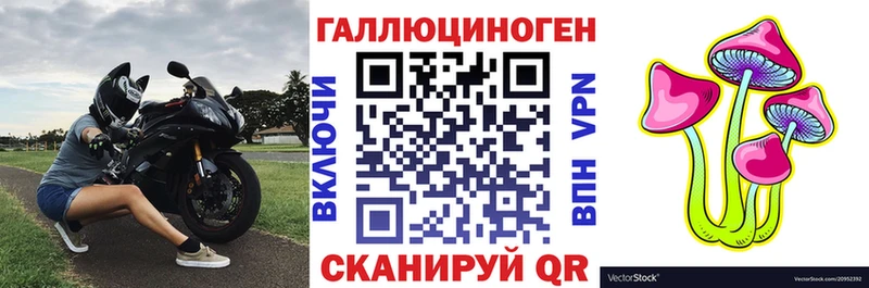 цены   Дорогобуж  Галлюциногенные грибы Psilocybe 